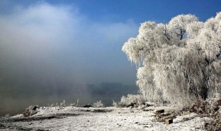 下雪天的心情说说 下雪天的心情说说风景图