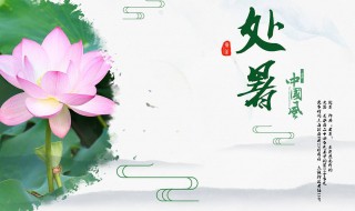 什么是处暑 什么是处暑节气 处暑是什么意思 天气网