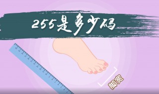 255是多少码 255是多少码的鞋