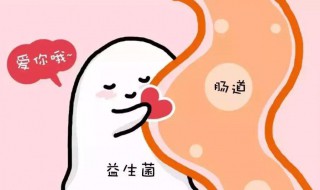 益生菌怎么吃（益生菌怎么吃才正确）