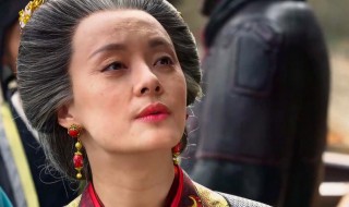 赢政的母亲是芈月吗（赢政的母亲是芈月吗为什么）