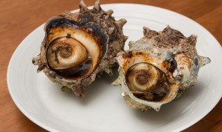 小海螺怎么做好吃 小海螺怎么做好吃又简单