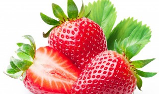 草莓种植技术（大棚草莓种植技术）