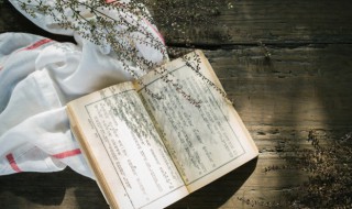 419啥意思（419啥意思是什么619）