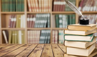 龙凤小说讲的什么（龙凤小说讲的什么故事）