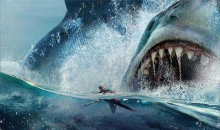 巨齿鲨讲的什么 巨齿鲨讲的什么内容