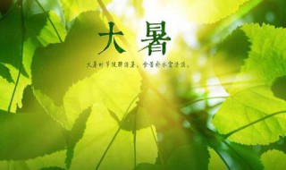 大暑是什么意思呢（大 暑是什么意思）