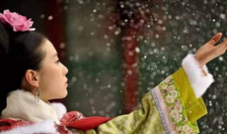 步步惊心经典语句 步步惊心经典语句大全