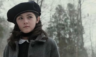 孤儿怨剧情（孤儿怨剧情解析）