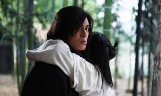 流星蝴蝶剑剧情 流星蝴蝶剑剧情游戏