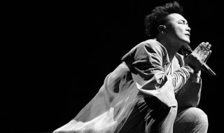 华语男歌手有什么（华语男歌手什么意思）