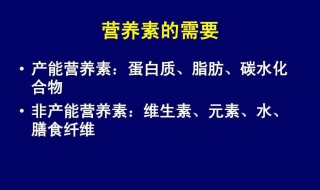 产能营养素介绍（产能营养素定义）