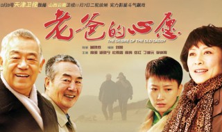 老爸的心愿剧情 老爸的心愿剧情分集介绍