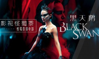 黑天鹅电影解析（黑天鹅电影解析豆瓣）