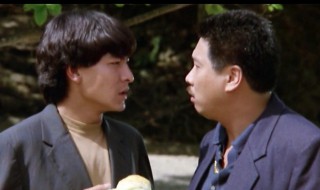 与龙共舞粤语剧情（与龙共舞粤语完整版）