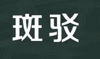 斑驳什么意思 日光斑驳什么意思