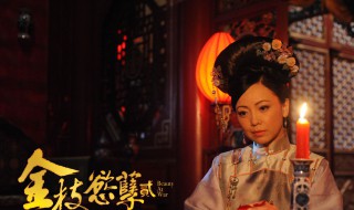 金枝欲孽大结局（金枝欲孽大结局剧情）