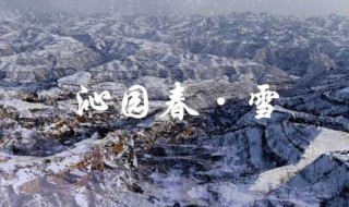 沁园春雪原文翻译赏析（沁园春·雪,翻译）