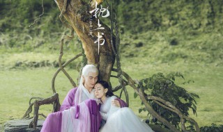 枕上书结局 枕上书结局是好的吗