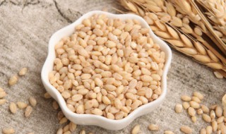 新鲜小麦仁的营养价值 鲜小麦仁怎么做好吃
