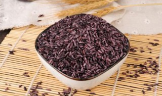 紫米的营养价值功效与作用（紫米的营养价值是什么）