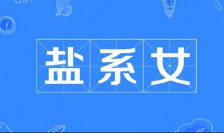 盐系什么意思（盐系男百科）