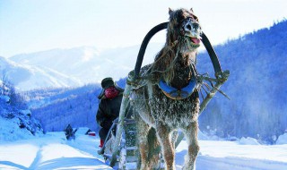 冬不冬是什么东西 什么是冬不冬套路