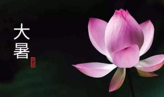 大暑节气的含义是什么 大暑节气的含义是什么意思呢