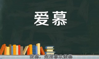 爱慕是什么意思 艾斯爱慕是什么意思