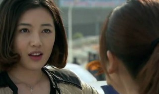 野鸭子大结局 野鸭子大结局视频