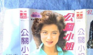 公关小姐电视剧剧情 公关小姐电视剧主演