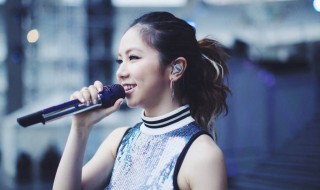 林宥嘉写给邓紫棋的歌（林宥嘉写给邓紫棋的歌:林宥嘉为什么选丁文琪）