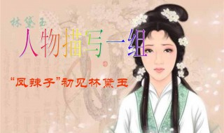 林黛玉人物分析（林黛玉人物分析论文）