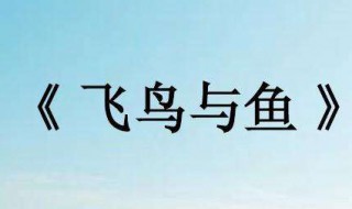 飞鸟与鱼歌词 飞鸟与鱼歌词中英文的意思