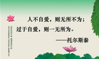 关于生活的格言（关于生活的格言10字左右）