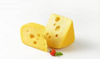 奶酪的营养（奶酪的营养价值及功效）