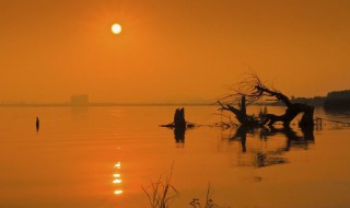 几度夕阳红歌词 几度夕阳红歌词杨洪基