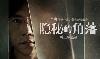 隐秘的角落多少集（隐秘的角落多少集有彩蛋）