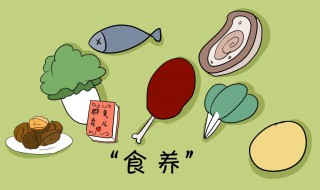 孕妇饮食营养（孕妇饮食营养搭配）