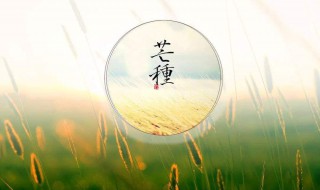 6月5日是什么日子（6月5日是什么星座）