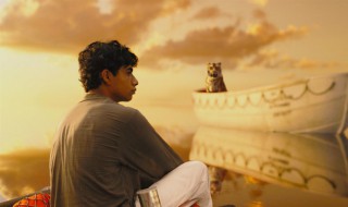 少年奇幻漂流记剧情（少年奇幻漂流记深度解读）