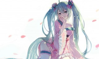 初音未来的资料 初音未来的资料图片