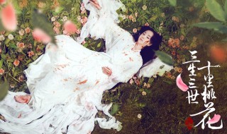 凉凉歌词完整版（凉凉歌词完整版原唱）