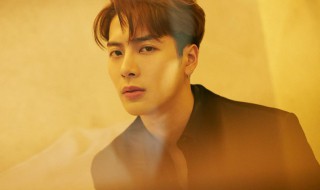 王嘉尔资料 王嘉尔资料简介