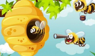 蜜蜂进家里怎么赶出去 蜜蜂进家里怎么赶出去的