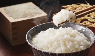 热水一泡就熟的米饭是什么（热水一泡就熟的米饭是什么米）