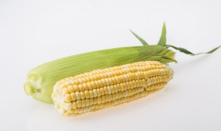 水果玉米和普通玉米有什么区别 水果玉米和普通玉米有什么区别营养价值