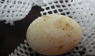鹅蛋上有粪便怎么储存 鹅蛋上的屎怎么去除