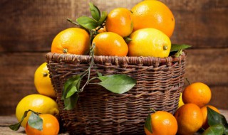 橙的寓意是什么（橙寓意是什么意思）