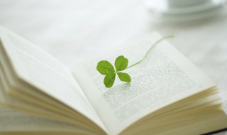 第十二秒小说讲的什么 第十二秒小说解析